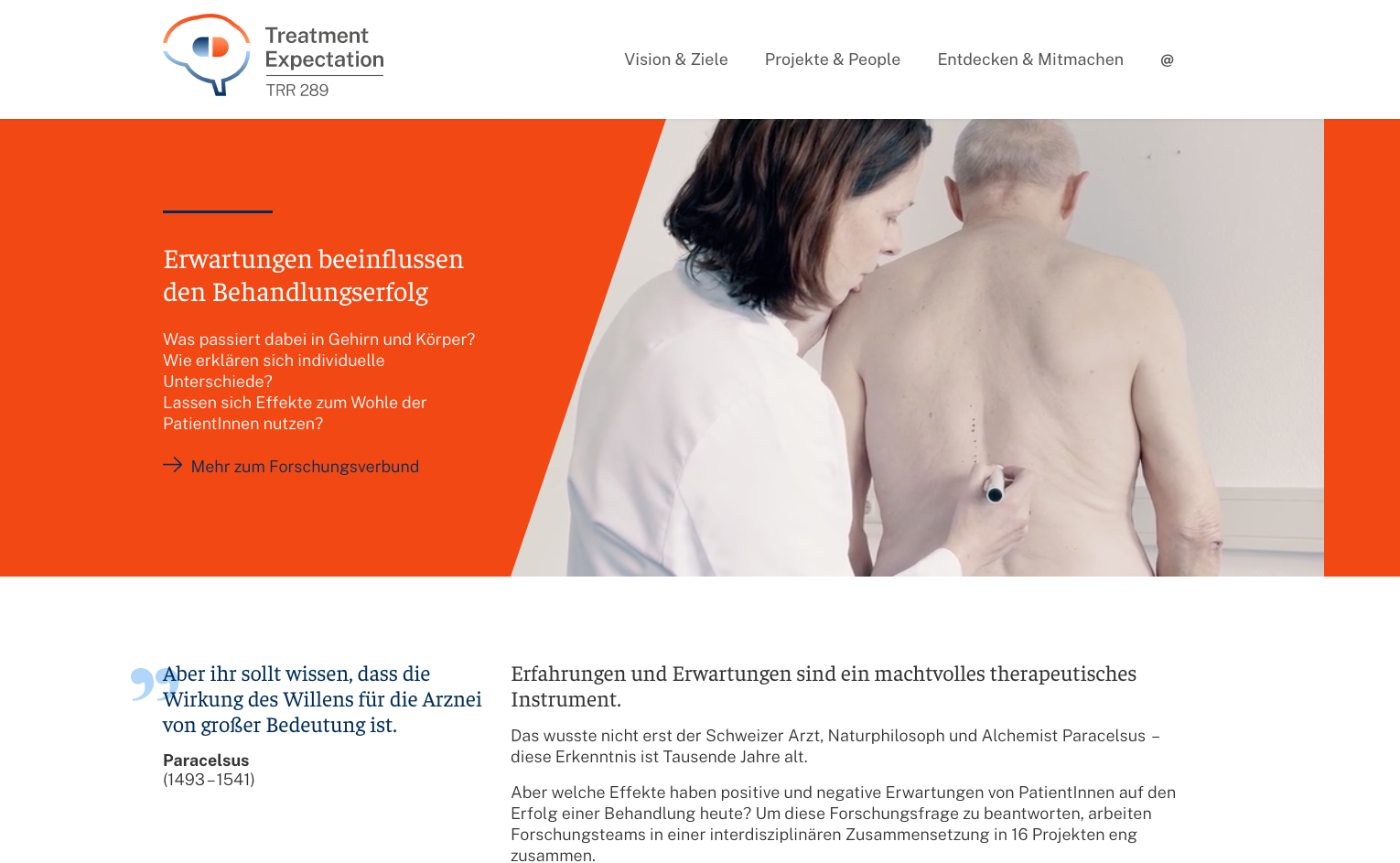 Screenshot of the SFB/TRR 289 website